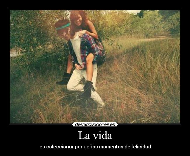 La vida - es coleccionar pequeños momentos de felicidad