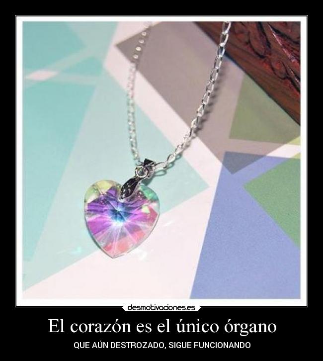 El corazón es el único órgano -