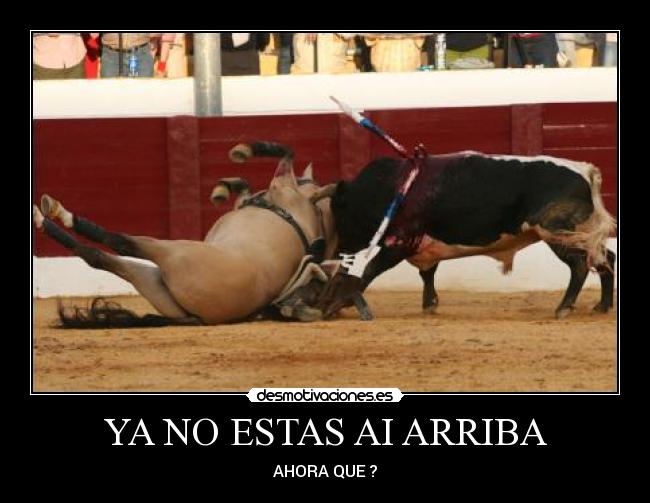 YA NO ESTAS AI ARRIBA - AHORA QUE ?