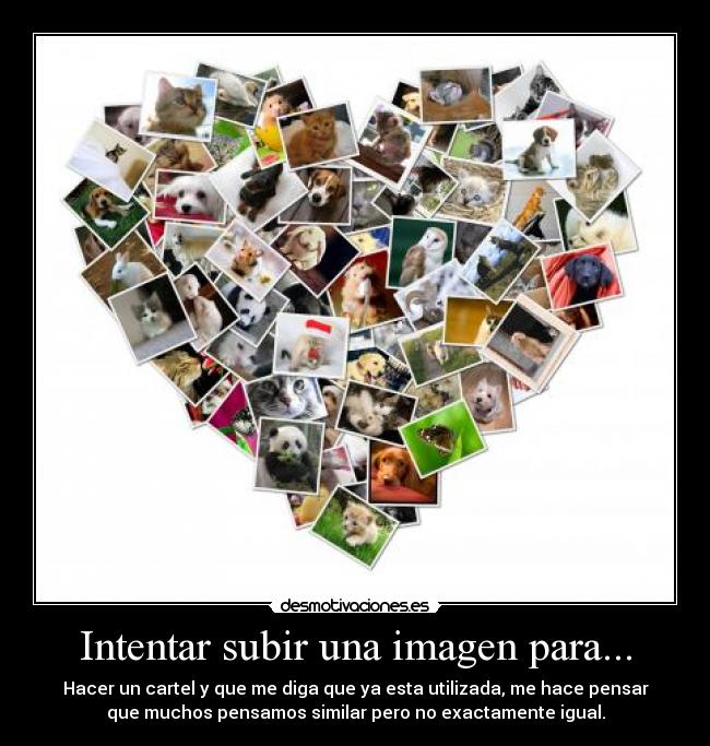 carteles intentar desmotivaciones