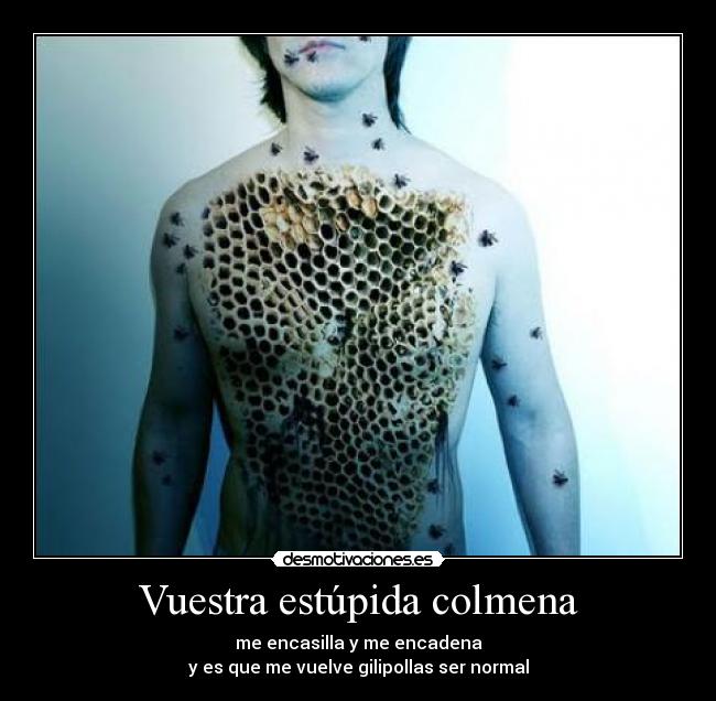 carteles zapatrus desmotivaciones