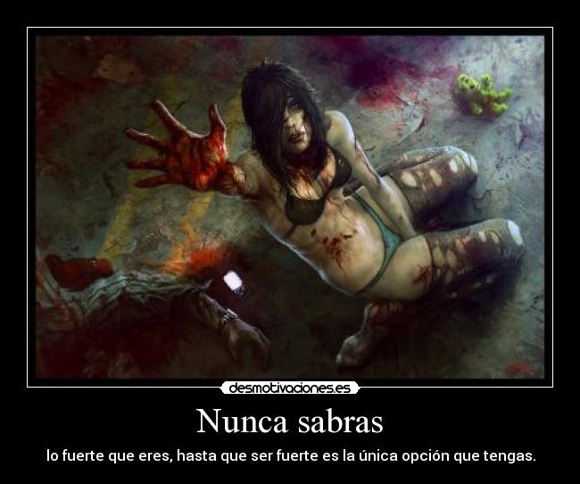 carteles nunca sabras desmotivaciones