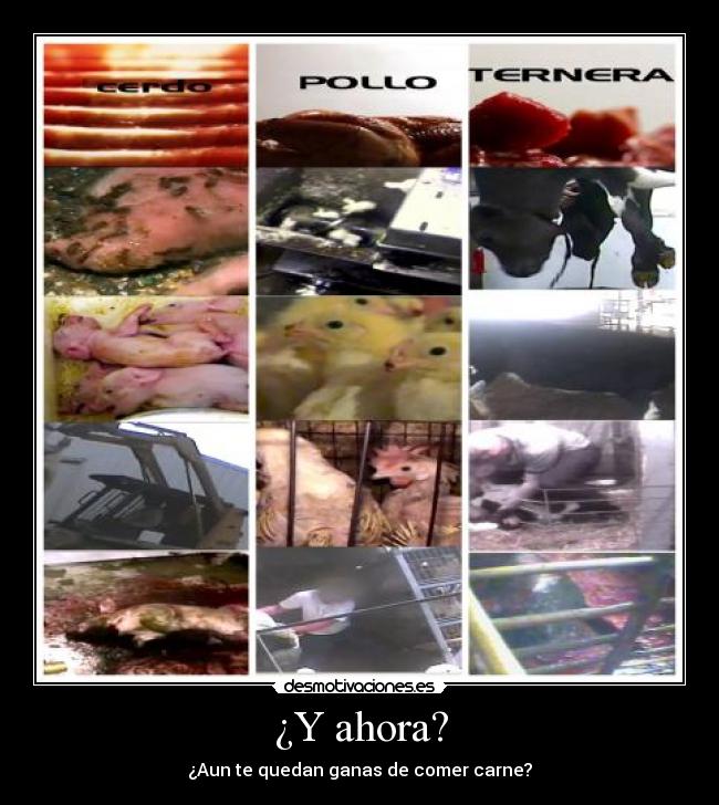 ¿Y ahora? - ¿Aun te quedan ganas de comer carne?