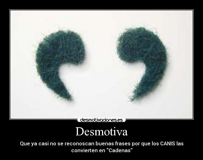 Desmotiva - Que ya casi no se reconoscan buenas frases por que los CANIS las
convierten en Cadenas