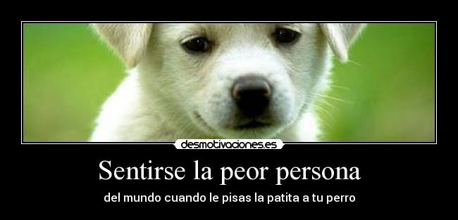 Sentirse la peor persona - del mundo cuando le pisas la patita a tu perro