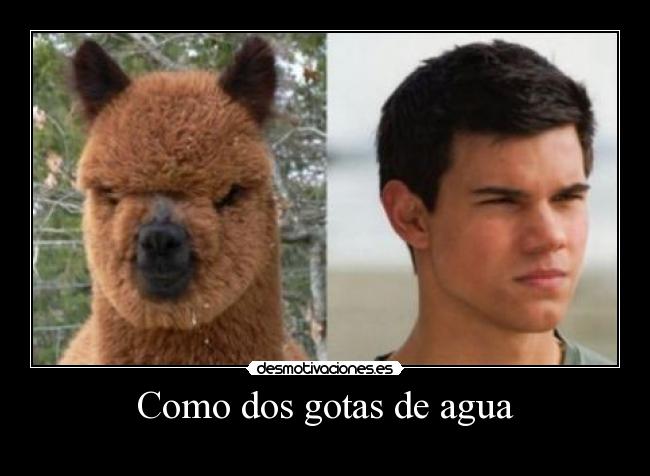 Como dos gotas de agua - 