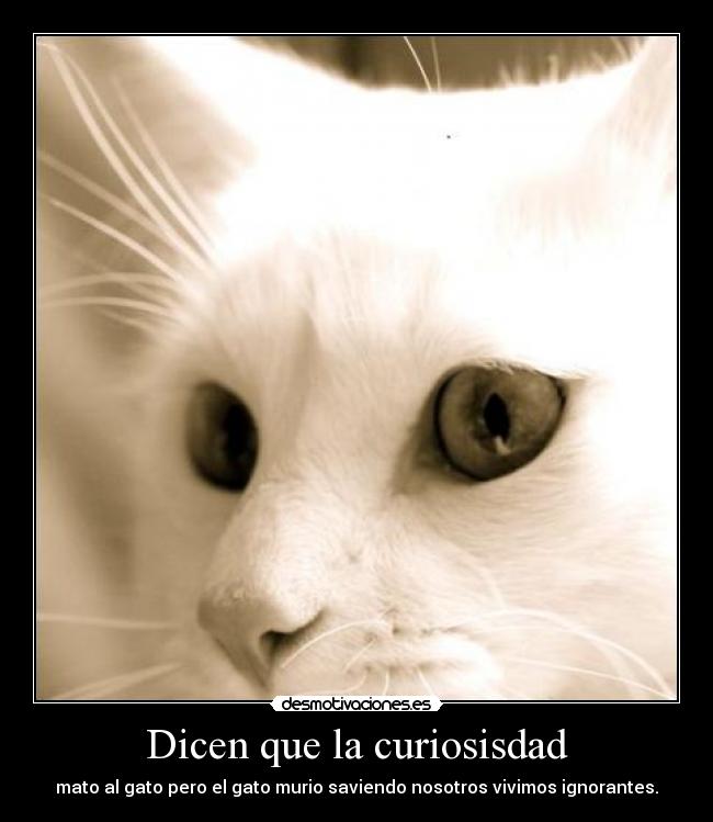 Dicen que la curiosisdad - mato al gato pero el gato murio saviendo nosotros vivimos ignorantes.