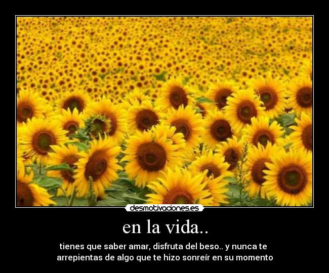 en la vida.. -