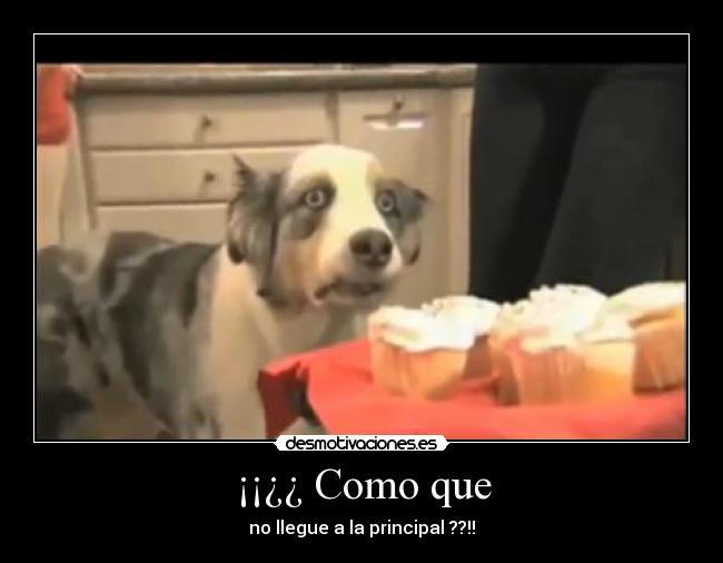 ¡¡¿¿ Como que -