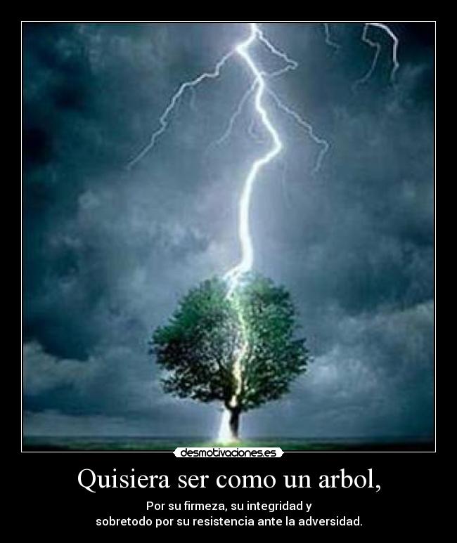 Quisiera ser como un arbol, - 