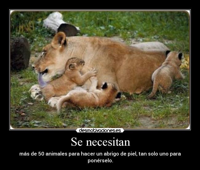 Se necesitan - más de 50 animales para hacer un abrigo de piel, tan solo uno para ponérselo.