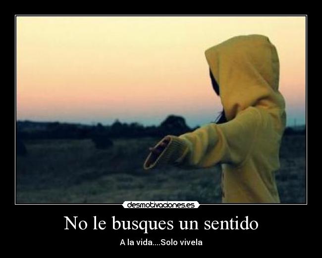 No le busques un sentido - A la vida....Solo vivela