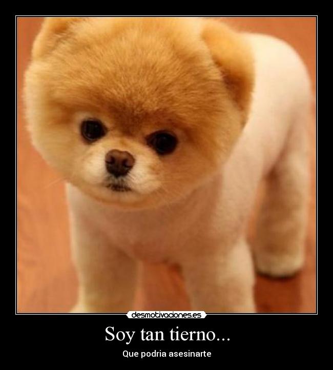 Soy tan tierno... - 