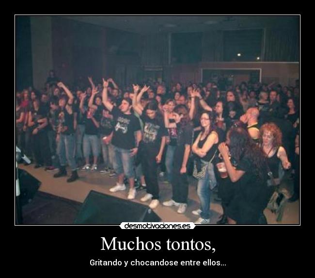 Muchos tontos, -