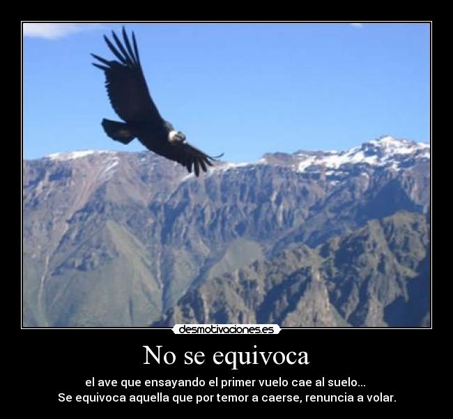 No se equivoca - el ave que ensayando el primer vuelo cae al suelo... 
Se equivoca aquella que por temor a caerse, renuncia a volar.