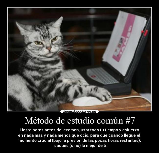 Método de estudio común #7 - 