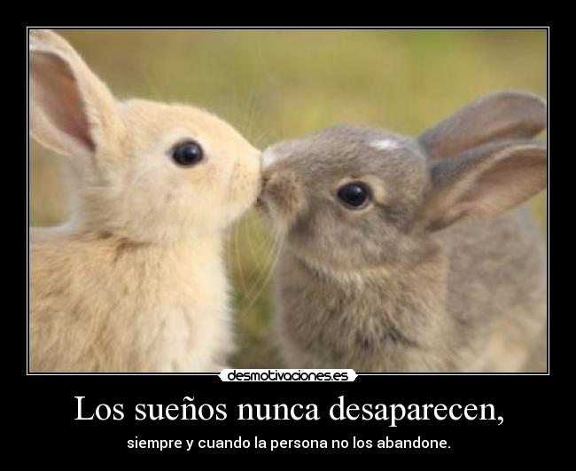 Los sueños nunca desaparecen, - siempre y cuando la persona no los abandone.