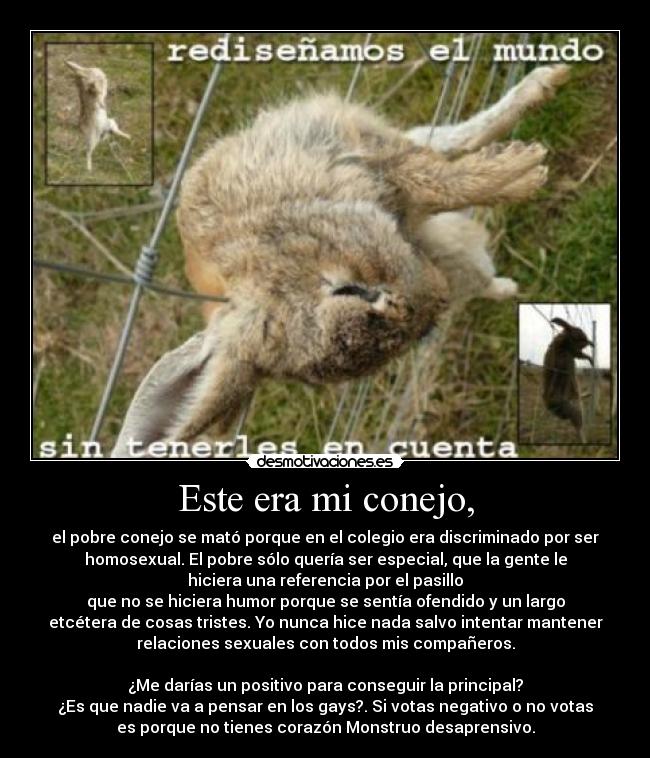 Este era mi conejo, -