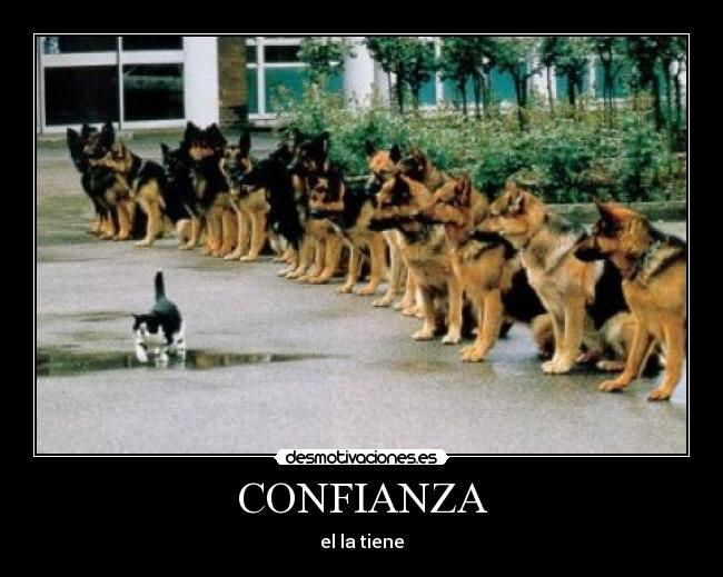 CONFIANZA - 