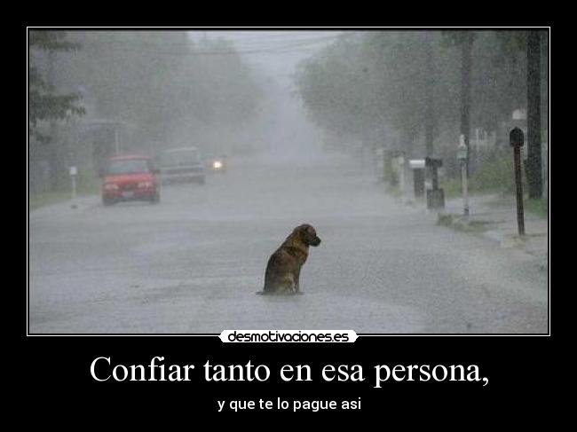 Confiar tanto en esa persona, - 