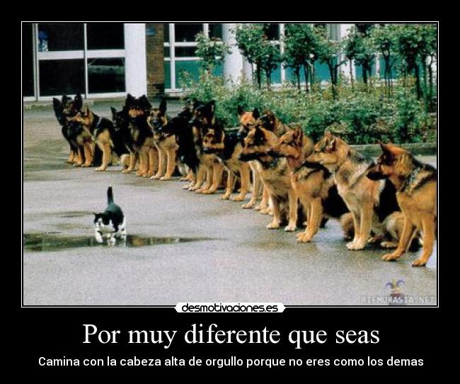 Por muy diferente que seas - 