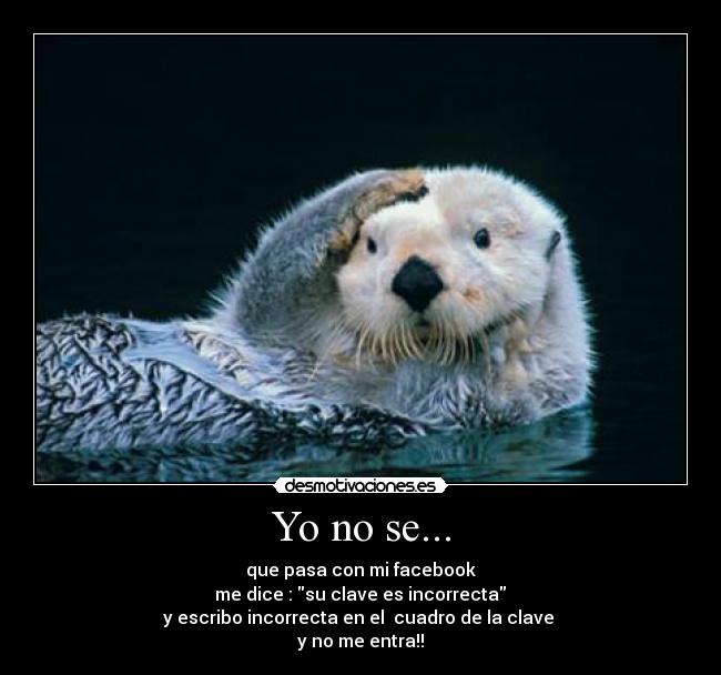 Yo no se... -