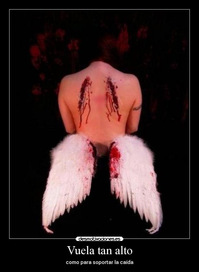 Vuela tan alto - como para soportar la caída