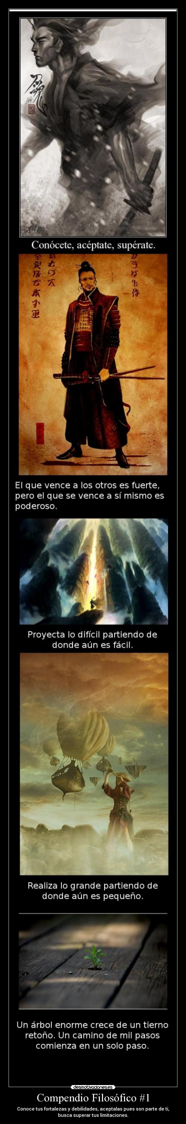 Compendio Filosófico #1 - Conoce tus fortalezas y debilidades, aceptalas pues son parte de ti,
busca superar tus limitaciones.