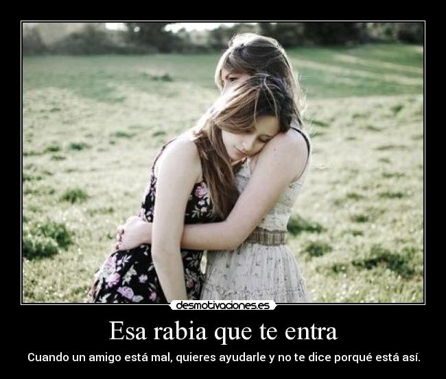 carteles amigo rabia desmotivaciones