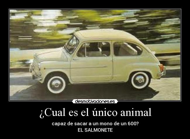 ¿Cual es el único animal - 