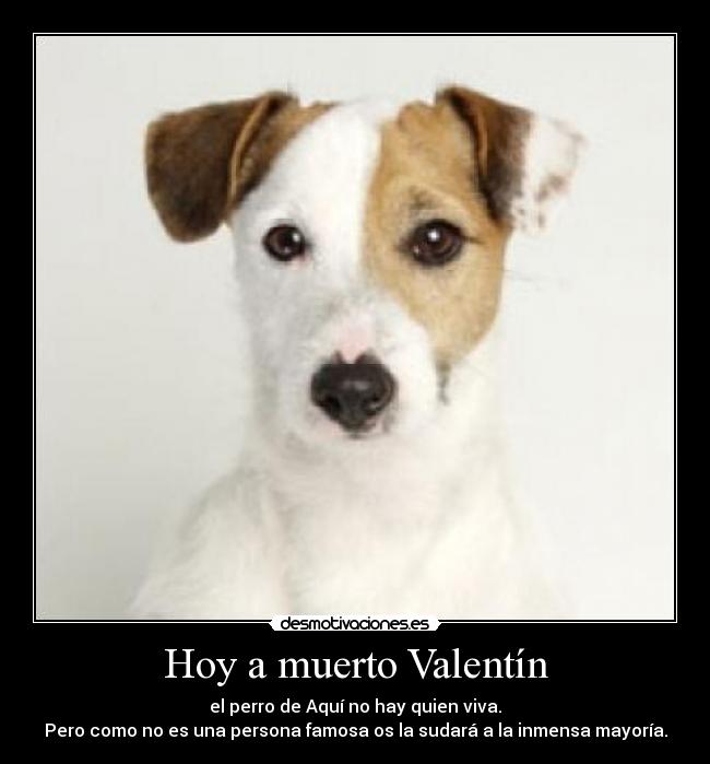 Hoy a muerto Valentín - el perro de Aquí no hay quien viva.
Pero como no es una persona famosa os la sudará a la inmensa mayoría.