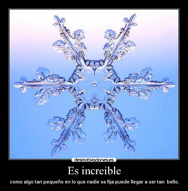 Es increible -