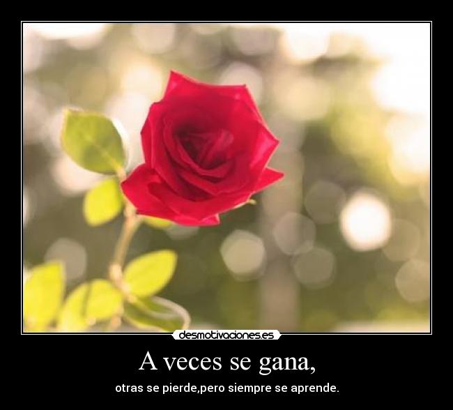 A veces se gana, - otras se pierde,pero siempre se aprende.