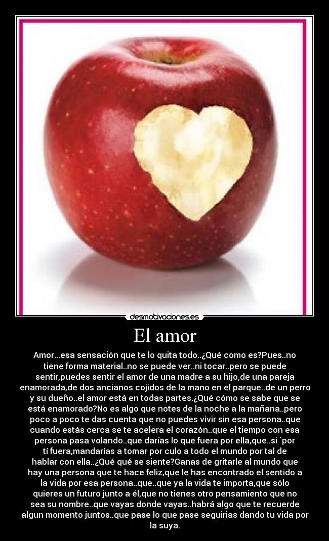 El amor - Amor...esa sensación que te lo quita todo..¿Qué como es?Pues..no
tiene forma material..no se puede ver..ni tocar..pero se puede
sentir,puedes sentir el amor de una madre a su hijo,de una pareja
enamorada,de dos ancianos cojidos de la mano en el parque..de un perro
y su dueño..el amor está en todas partes.¿Qué cómo se sabe que se
está enamorado?No es algo que notes de la noche a la mañana..pero
poco a poco te das cuenta que no puedes vivir sin esa persona..que
cuando estás cerca se te acelera el corazón..que el tiempo con esa
persona pasa volando..que darías lo que fuera por ella,que..si `por
tí fuera,mandarías a tomar por culo a todo el mundo por tal de
hablar con ella..¿Qué qué se siente?Ganas de gritarle al mundo que
hay una persona que te hace feliz,que le has encontrado el sentido a
la vida por esa persona..que..que ya la vida te importa,que sólo
quieres un futuro junto a él,que no tienes otro pensamiento que no
sea su nombre..que vayas donde vayas..habrá algo que te recuerde
algun momento juntos..que pase lo que pase seguirias dando tu vida por
la suya.