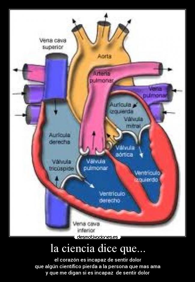 la ciencia dice que... -