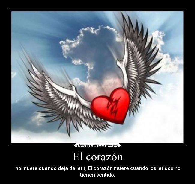 El corazón -