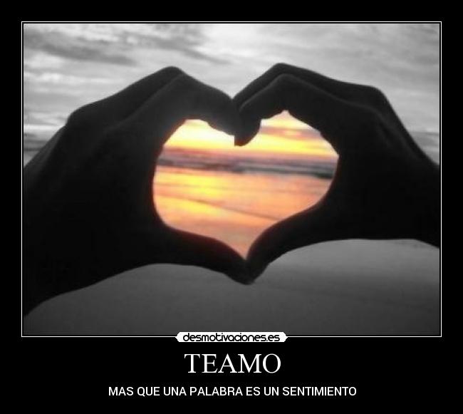 TEAMO - 