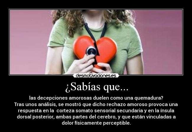 ¿Sabías que... - las decepciones amorosas duelen como una quemadura?
Tras unos análisis, se mostró que dicho rechazo amoroso provoca una
respuesta en la corteza somato sensorial secundaria y en la ínsula
dorsal posterior, ambas partes del cerebro, y que están vinculadas a
dolor físicamente perceptible.