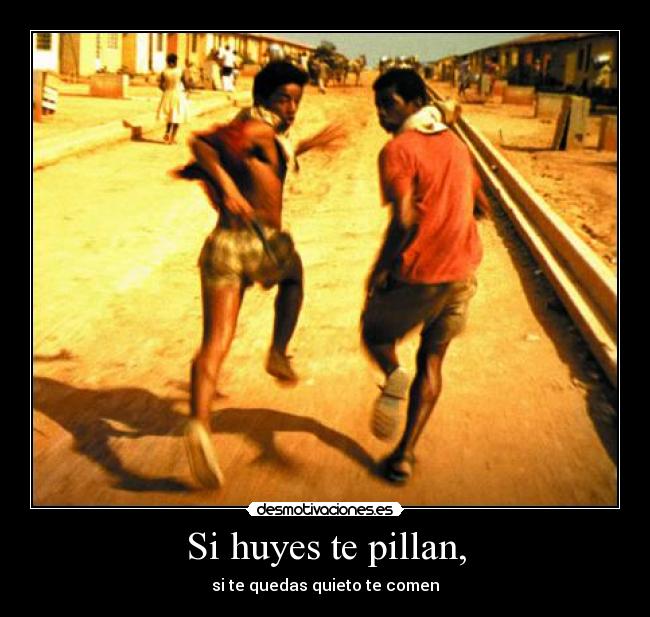 carteles ciudad dios correr huir desmotivaciones