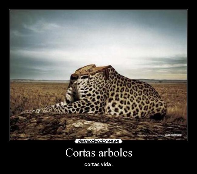 Cortas arboles - 