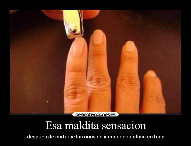 Esa maldita sensacion - 