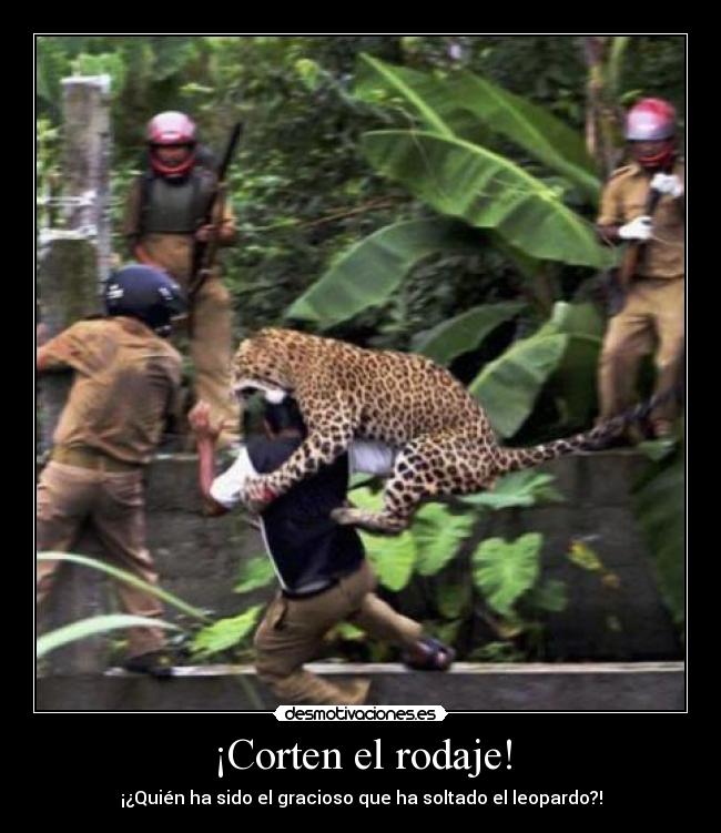 ¡Corten el rodaje! - ¡¿Quién ha sido el gracioso que ha soltado el leopardo?!