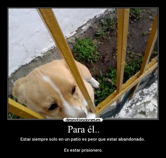 Para él.. - Estar siempre solo en un patio es peor que estar abandonado. 

Es estar prisionero.