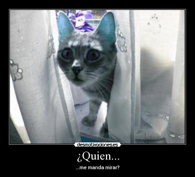 ¿Quien... - ...me manda mirar?