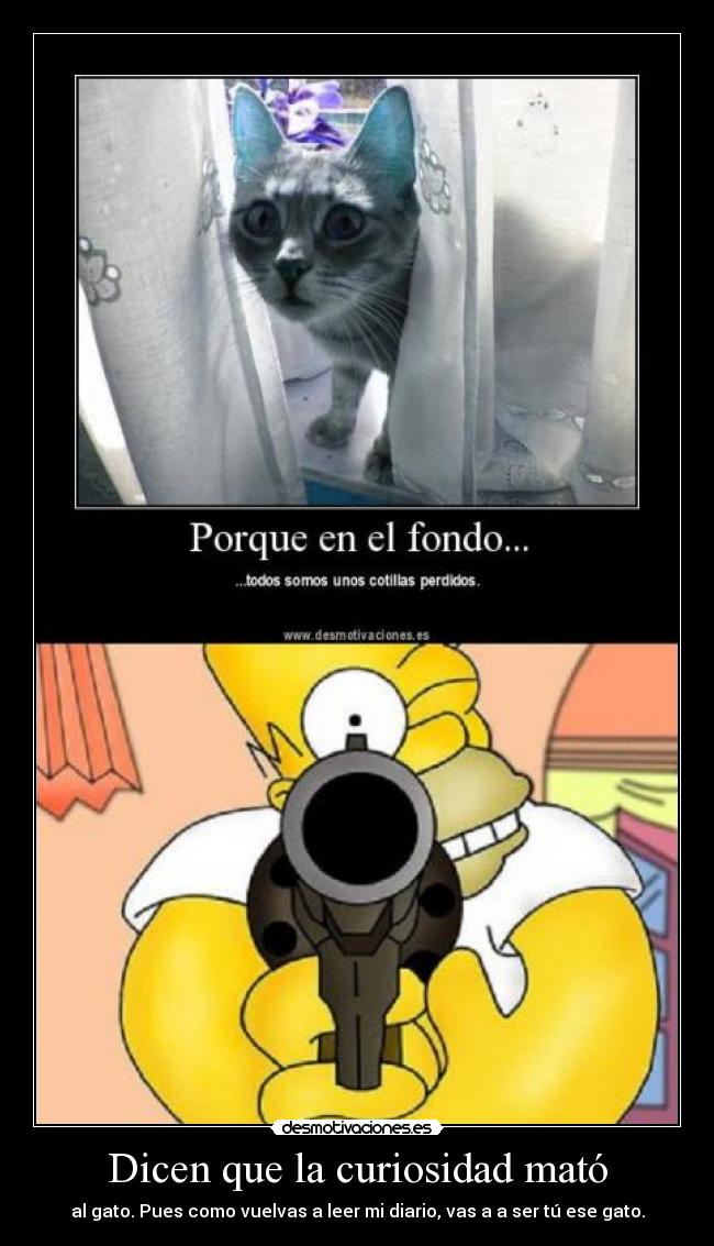 carteles gatoscuriosidad desmotivaciones