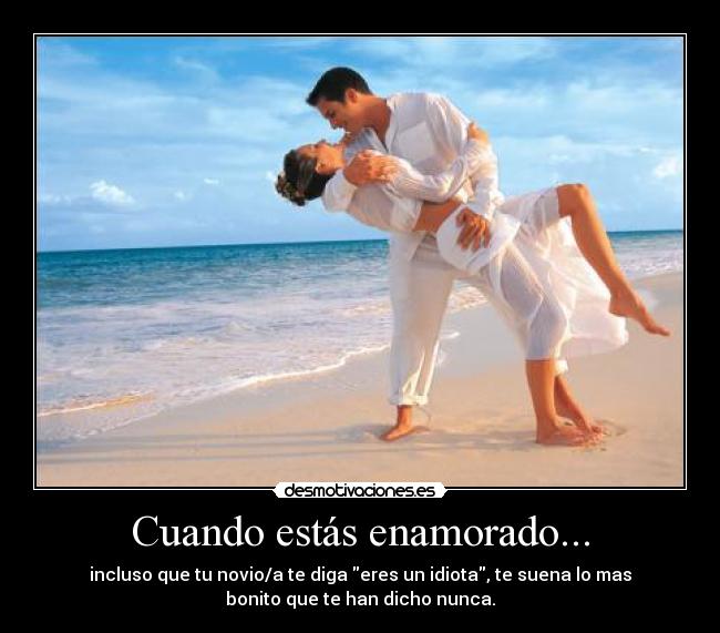 carteles las tonterias que hacemos por amor desmotivaciones