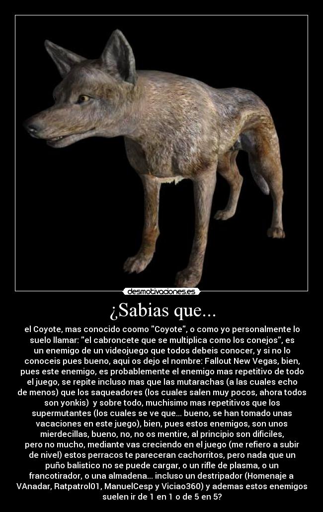 carteles coyote daxx suele con ellos desmotivaciones