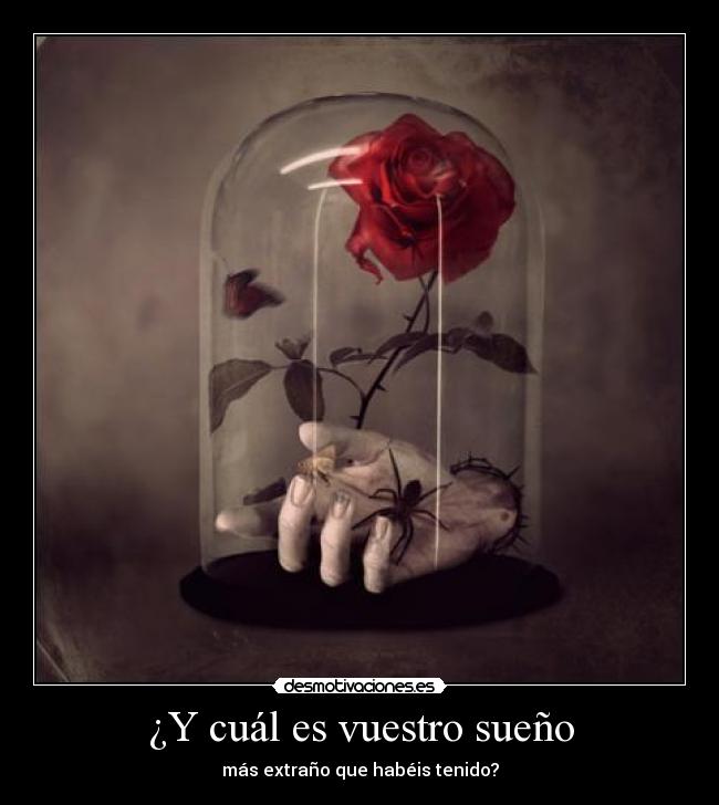 ¿Y cuál es vuestro sueño - más extraño que habéis tenido?