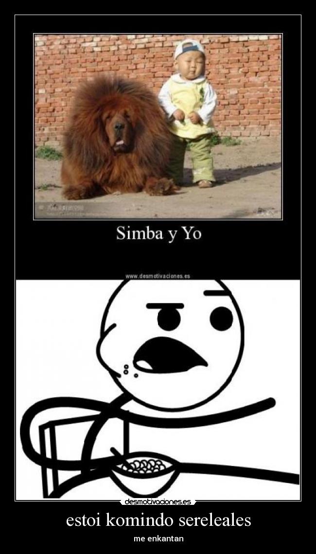 estoi komindo sereleales - 