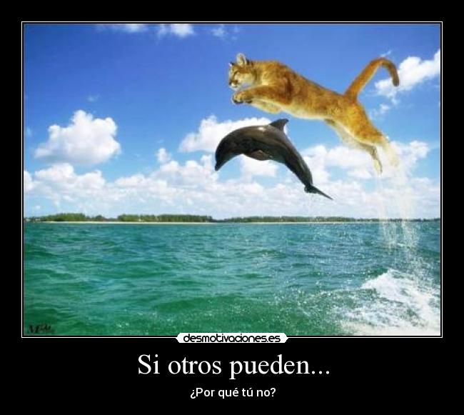 Si otros pueden... -